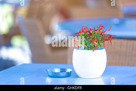 Table avec fleur en street cafe table vide. Banque D'Images