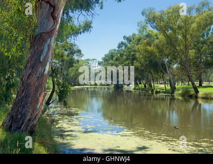 Condamine River Warwick Queensland Australie Banque D'Images