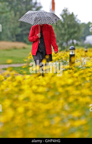 Une femme marche sous la pluie à travers une mer de fleurs sauvages en fleurs à Liverpool City Quay Apartments. Banque D'Images