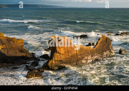 La lumière du soleil du soir sur la marée montante à Téma Falaise, Bude, Cormwall, Angleterre. Banque D'Images