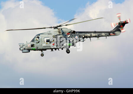 Lynx de Westland, hélicoptère des chats noirs, à Southport Banque D'Images