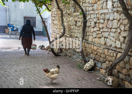 La vie dans le village de pêcheurs de lin sur les rives du lac d'Ohrid près de Pogradeci, sud-est de l'Albanie. Banque D'Images