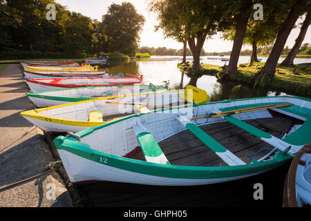 L'Aviron bateaux amarrés sur la Meare UK Suffolk Aldeburgh en fin d'après-midi, soleil d'été Banque D'Images