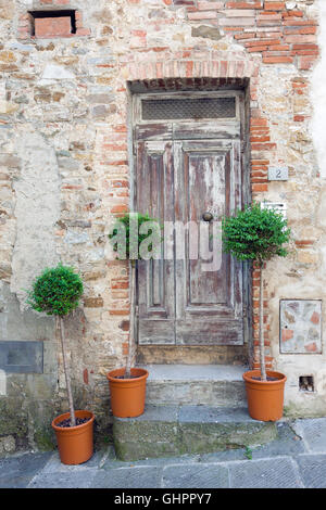 Vieilles portes en bois traditionnels en Italie avec trois buis décoratif les arbres situés dans des pots de fleurs Banque D'Images