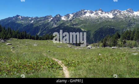 Grand balcon nord, nr Chalets de la télécommande, voir de la Flégère/Aiguilles Rouges, Chamonix Mont Blanc, Rhône-Alpes, France. Banque D'Images