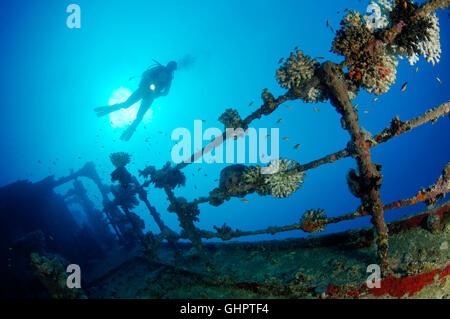 Naufrage SS Turbo, plongeur et ship wreck épave, Turbo, Ras Banas, Red Sea, Egypt, Africa Banque D'Images