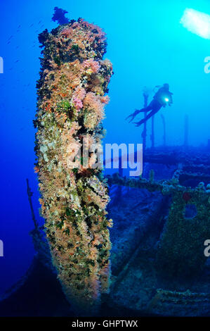 Épave Numidia, plongée sous-marine sur épave, Brother Islands, Frères, grand frère, Red Sea, Egypt, Africa, Africa Banque D'Images