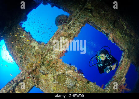 Épave Numidia, plongée sous-marine sur épave, Brother Islands, Frères, grand frère, Red Sea, Egypt, Africa, Africa Banque D'Images