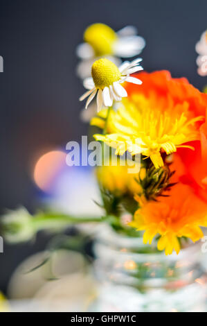 Bouquet résumé avec la camomille, fleurs de pavot et de l'épervière Banque D'Images