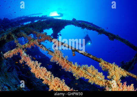 Épave Numidia, plongée sous-marine sur épave, Brother Islands, Frères, grand frère, Red Sea, Egypt, Africa, Africa Banque D'Images