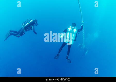 Scuba Diver sur ligne de sécurité faisant arrêter de décompression, Rosalie Moller, épave, Red Sea, Egypt, Africa Banque D'Images