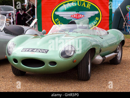 Un 1950 Jaguar D-Type dans le club des amateurs de Jaguar au Silverstone Classic 2016. Banque D'Images