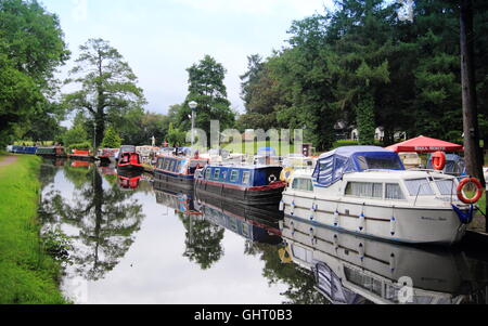 Narrowboats amarré sur les Monmouthshire et Brecon Canal à Goytre Wharf près d'Abergavenny, dans le sud du Pays de Galles, Cymru, UK - Juillet Banque D'Images