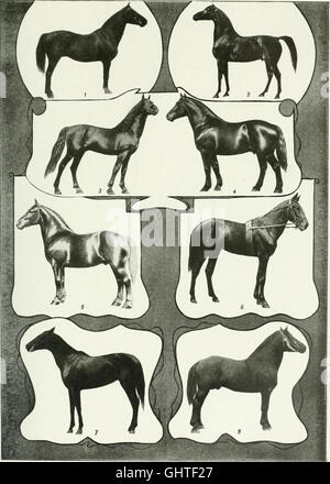 L'Americana (1903) est une vaste bibliothèque de référence offrant des connaissances dans de multiples disciplines, y compris les arts, les sciences, l'histoire, la biographie, et géographie. Il fournit une ressource complète pour comprendre le commerce mondial, la culture et l'histoire. Banque D'Images