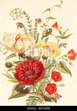Un livre de 1869 explorant la signification symbolique des fleurs, les utilisant comme emblèmes pour transmettre des émotions, des pensées et des sentiments dans des contextes culturels. Banque D'Images