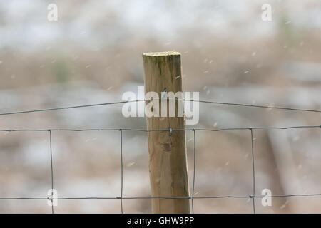 Poteau de clôture en bois en milieu rural sur une journée froide avec de la neige légère baisse Banque D'Images