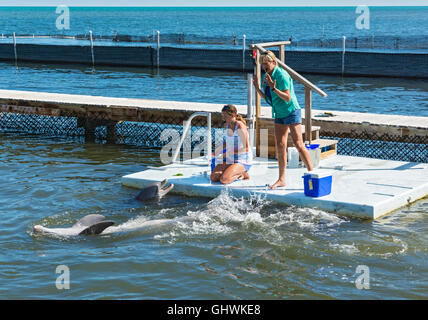 Florida Keys, Grassy Key, Dolphin Research Center, dolphin trainers Banque D'Images