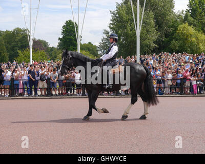 Un officier de la police montée patrouille l'mall devant des foules de touristes avant le changement de la garde à Londres, Angleterre Banque D'Images