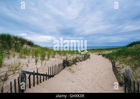 Clôture et chemin à travers les dunes de sable à Race Point, dans la Province Lands at Cape Cod National Seashore, Massachusetts. Banque D'Images