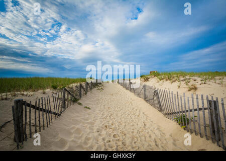 Clôture et chemin à travers les dunes de sable à Race Point, dans la Province Lands at Cape Cod National Seashore, Massachusetts. Banque D'Images