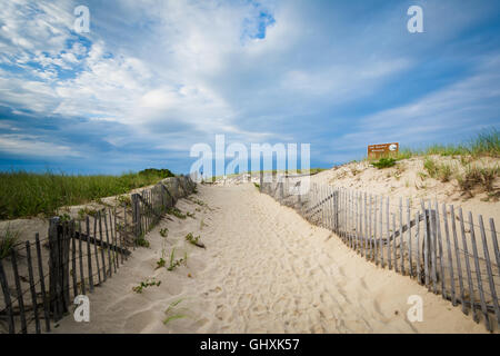 Clôture et chemin à travers les dunes de sable à Race Point, dans la Province Lands at Cape Cod National Seashore, Massachusetts. Banque D'Images