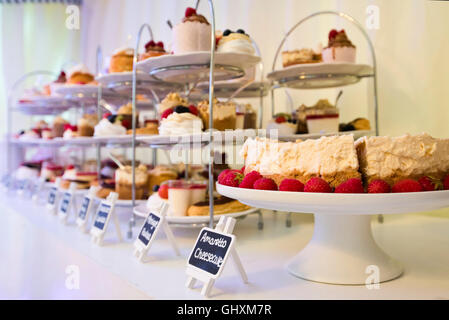 Vue horizontale de gâteaux et pâtisseries disposés sur une table dans un salon de thé. Banque D'Images