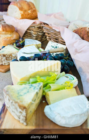 Vue verticale d'une sélection de fromages sur un plateau de fromages avec les accompagnements. Banque D'Images