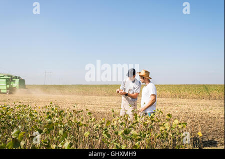 Jeunes agriculteurs dans des champs de soja Banque D'Images