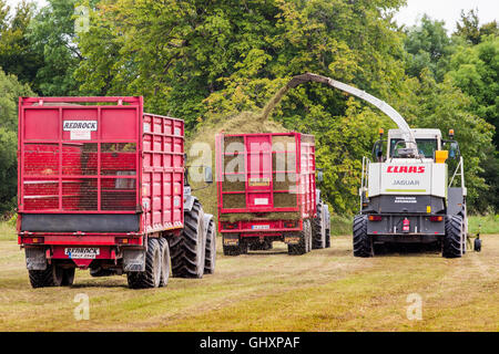 Tonte de pelouse et d'ensilage sur la ferme irlandaise. Le comté de Limerick. Banque D'Images