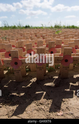 De simples croix de bois ornée de coquelicots de papier coincé dans le sol pour commémorer le souvenir de l'année 100 la somme Banque D'Images