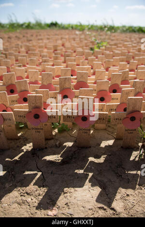 De simples croix de bois ornée de coquelicots de papier coincé dans le sol pour commémorer le souvenir de l'année 100 la somme Banque D'Images