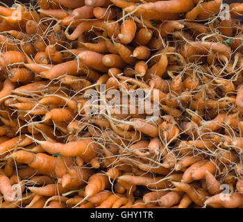 Produire de Boulder Farmers Market Banque D'Images