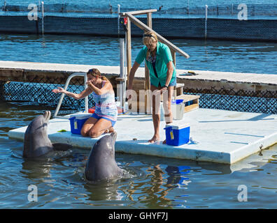 Florida Keys, Grassy Key, Dolphin Research Center, dolphin trainers Banque D'Images