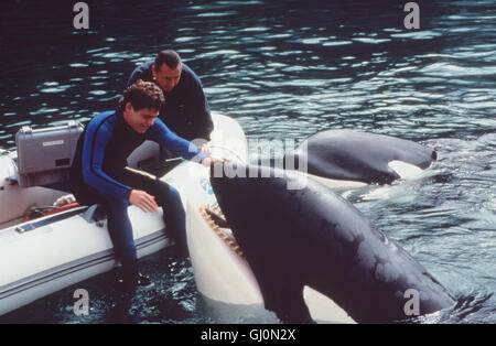 FREE WILLY 3- Jesse (JASON JAMES RICHTER) heuert Meeresbiologin a appelé l'und bei der Randolh (August SCHELLENBERG), une um herauszufinden, warum der Walbestand und schrumpft um seinen alten Freund Willy wiederzusehen. Regie : Sam Pillsbury aka. Free Willy 3 Banque D'Images