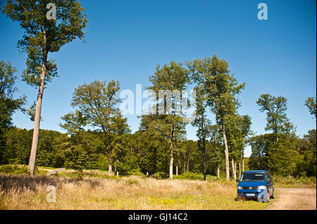 Vw Transporter T5 camper van stationné dans une forêt dans le centre de la france Banque D'Images