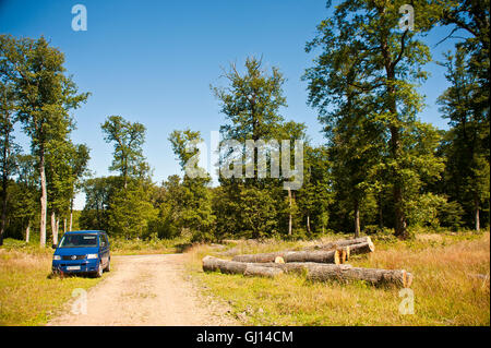 Vw Transporter T5 camper van stationné dans une forêt dans le centre de la france Banque D'Images