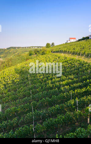 Deutsch Schützen-Eisenberg : Hill Eisenberg avec vignoble, vignes, Autriche, Burgenland, Banque D'Images