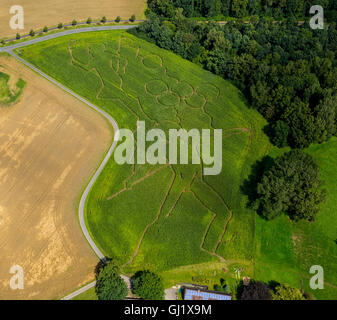 Vue aérienne avec Maislabyrinth,motifs olympiques campagne Münsterland, agriculteur Benoît Lünemann Lünemann la Cour à Cappenberg Banque D'Images