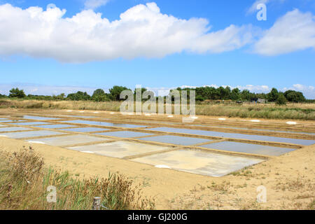L'eau salée de sécher sur l'île oleron Banque D'Images