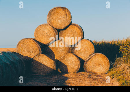 Des bottes de paille empilées sur pyramide sur les terres agricoles au coucher du soleil, le ton des couleurs rétro de l'été, concept de l'agriculture Banque D'Images