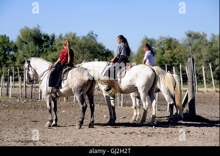 Les filles Gardians travaillant un troupeau de taureaux dans un troupeau de Camargue, région française spécialisée dans l'élevage des taureaux. Banque D'Images