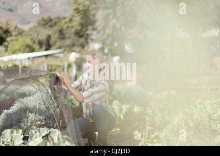 Femme mature d'organiser la compensation sur des plantes en jardin Banque D'Images