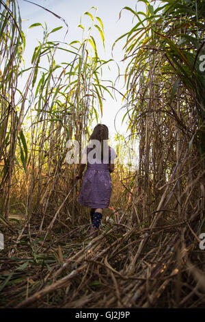 Jeune fille qui marche par Pumpkin Patch, vue arrière Banque D'Images