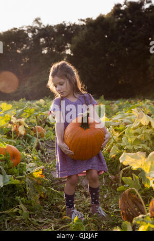 Jeune fille qui marche par citrouille, citrouille comptable Banque D'Images