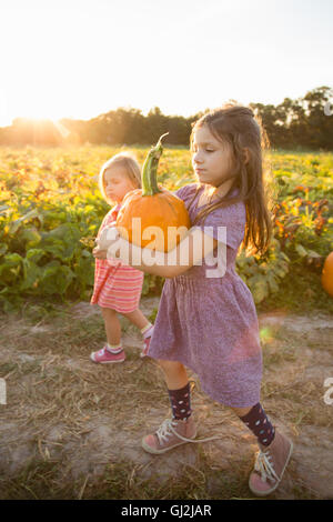 Jeune fille à côté de citrouille, citrouille comptable Banque D'Images