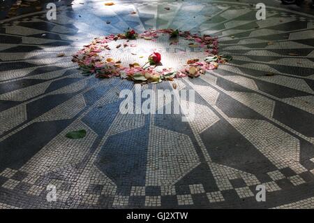 Rose rouge dans un cercle de pétales à ImagineJohn Lennon Memorial mosaïque de champs de fraises Central Park, New York City USA Banque D'Images