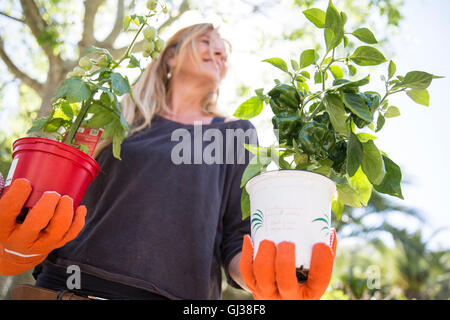 Low angle view of woman holding plants in garden Banque D'Images