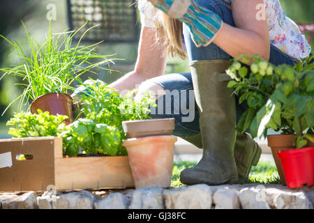 Portrait de femme préparant les plantes de jardin en herbes Banque D'Images