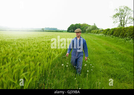 Farmer se promener et l'inspection de green field Banque D'Images