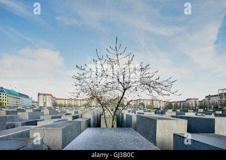 Des blocs de ciment à l'Holocaust Memorial, Berlin, Allemagne Banque D'Images